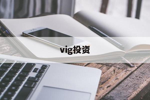 vig投资(vigo是哪个国家港口)