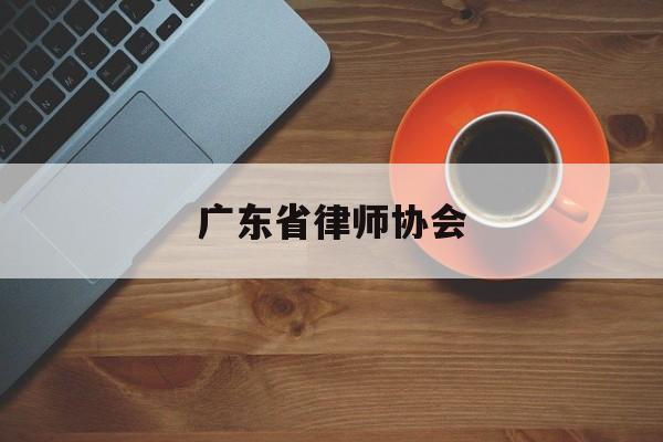 广东省律师协会(广东省律师协会会长肖圣军简历)